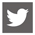 Twitter icon